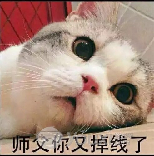 自从出了师徒,徒弟和师傅是怎样打招呼的呢?